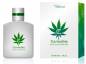 Preview: Cannabis unisex Parfüm EdT 100 ml Cosmetica Fanatica