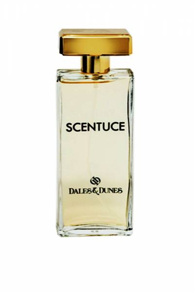 Scentuce Damen Parfüm EdT 100 ml Dales & Dunes